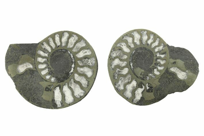 Pyritized Cut Ammonite Fossil Pair - Morocco #276663